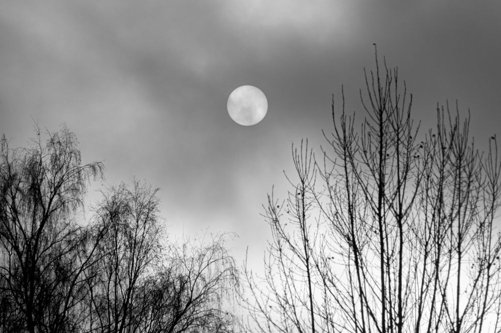 Northern sun
