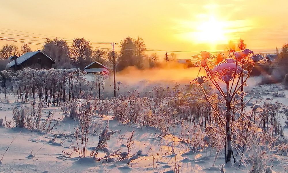 Photograph by Лидия Ушакова