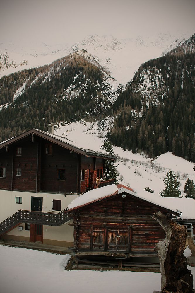 Photograph by Диана Ульянцева