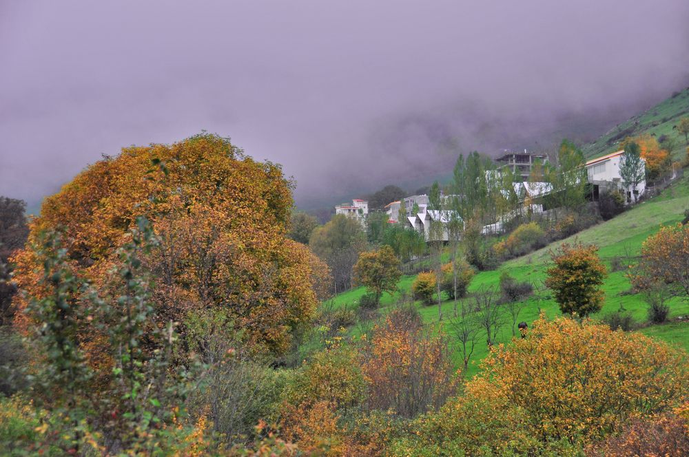 Photograph by mohammad tahmasebi