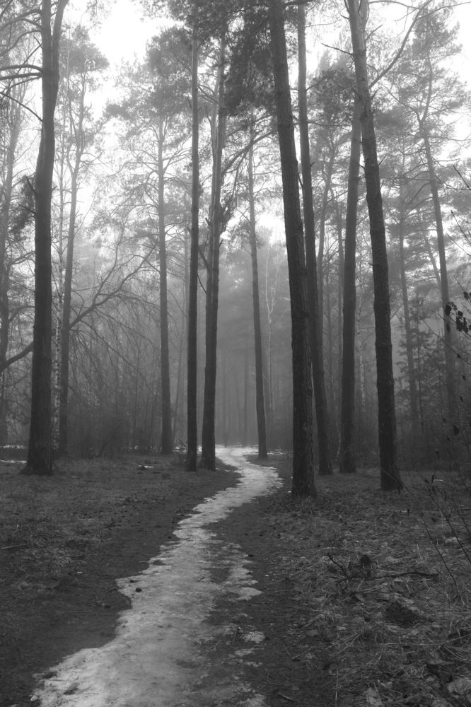 Фотография автора Колосова Елена