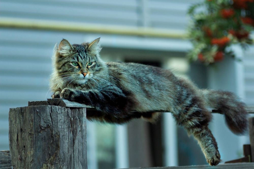 Photograph by Александр Канцур