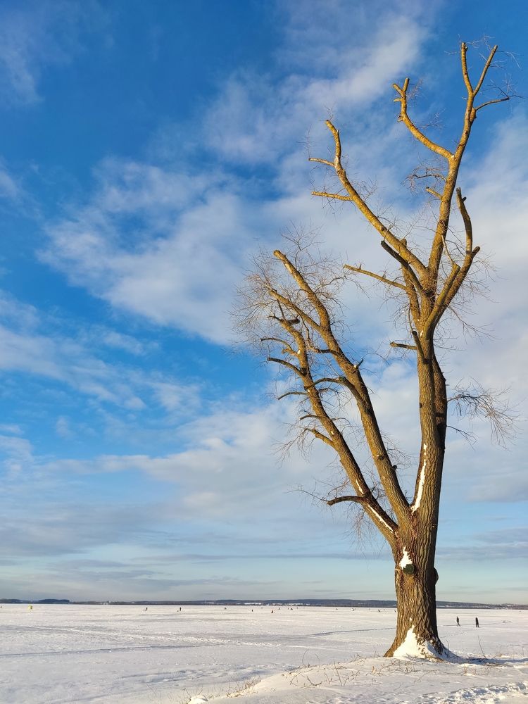 На "Минском море".