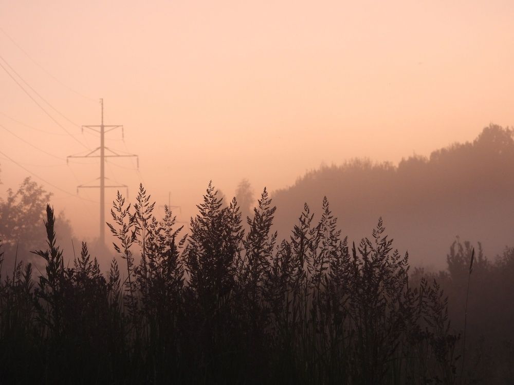 Photograph by Жигалина Наталья