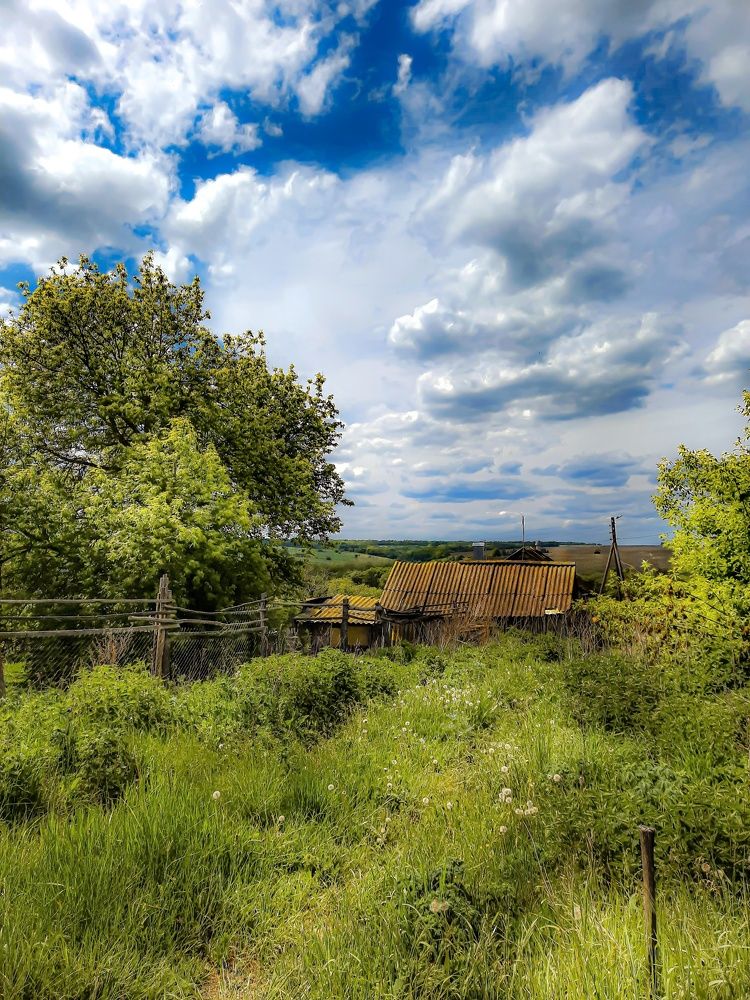 Фотография автора Irina Vornacheva