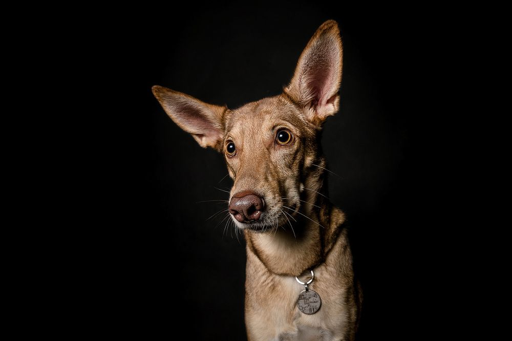 Метис Джесси Пинкман