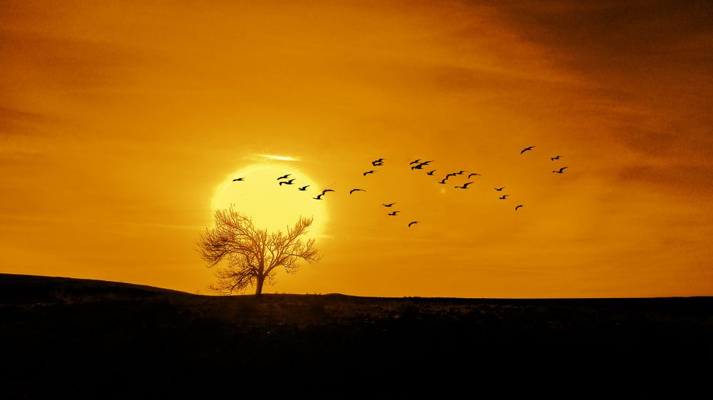 Photograph by Mahdi Abbasi