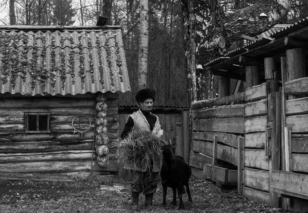 Photograph by Алексей Широбоков