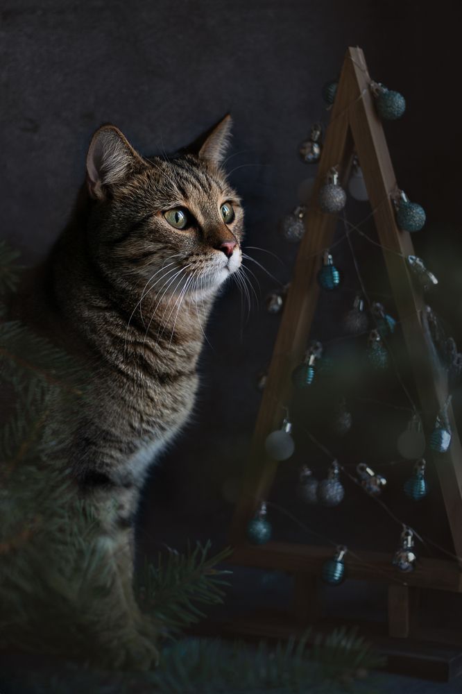 Photograph by Елена Мелихова