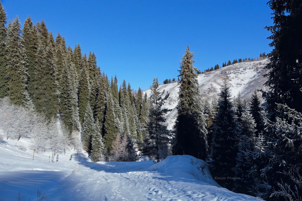 Photograph by Сергей