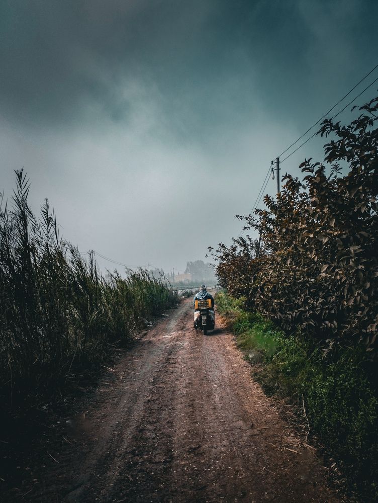 Photograph by Basant Sami