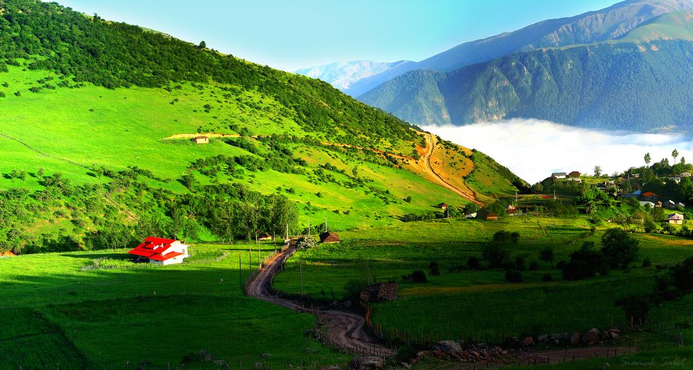 Photograph by Siamak Sabet