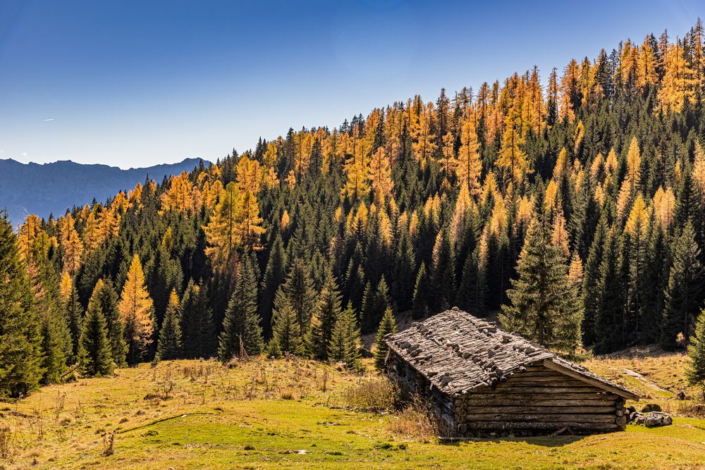 Фотография автора Paolo Barbarini