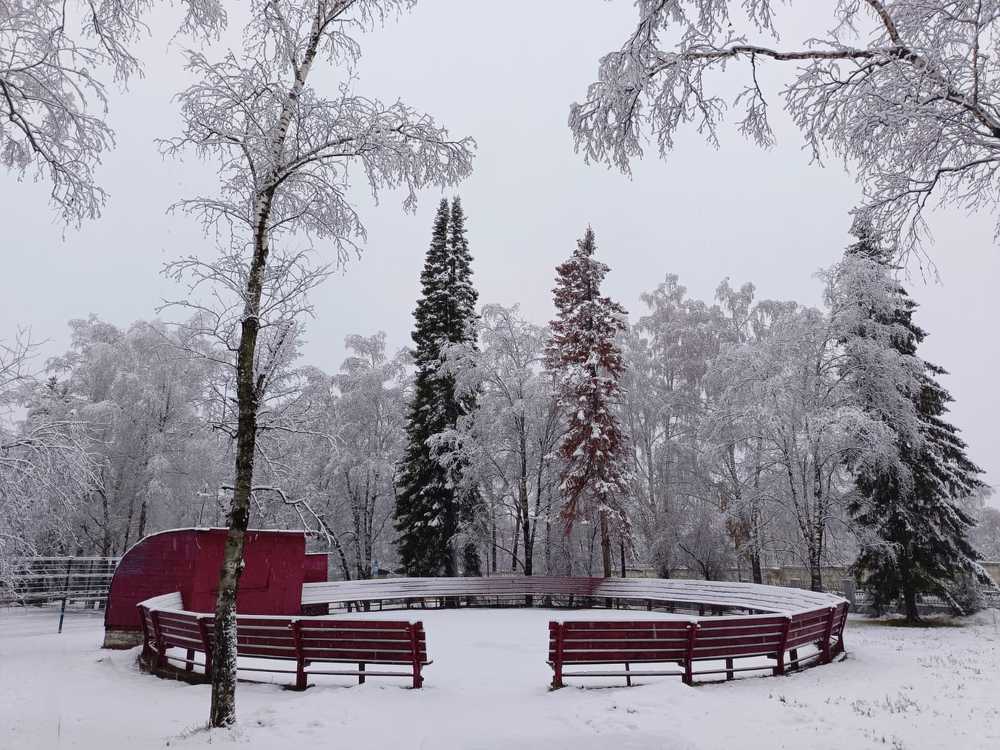 Photograph by Александра Ламанова