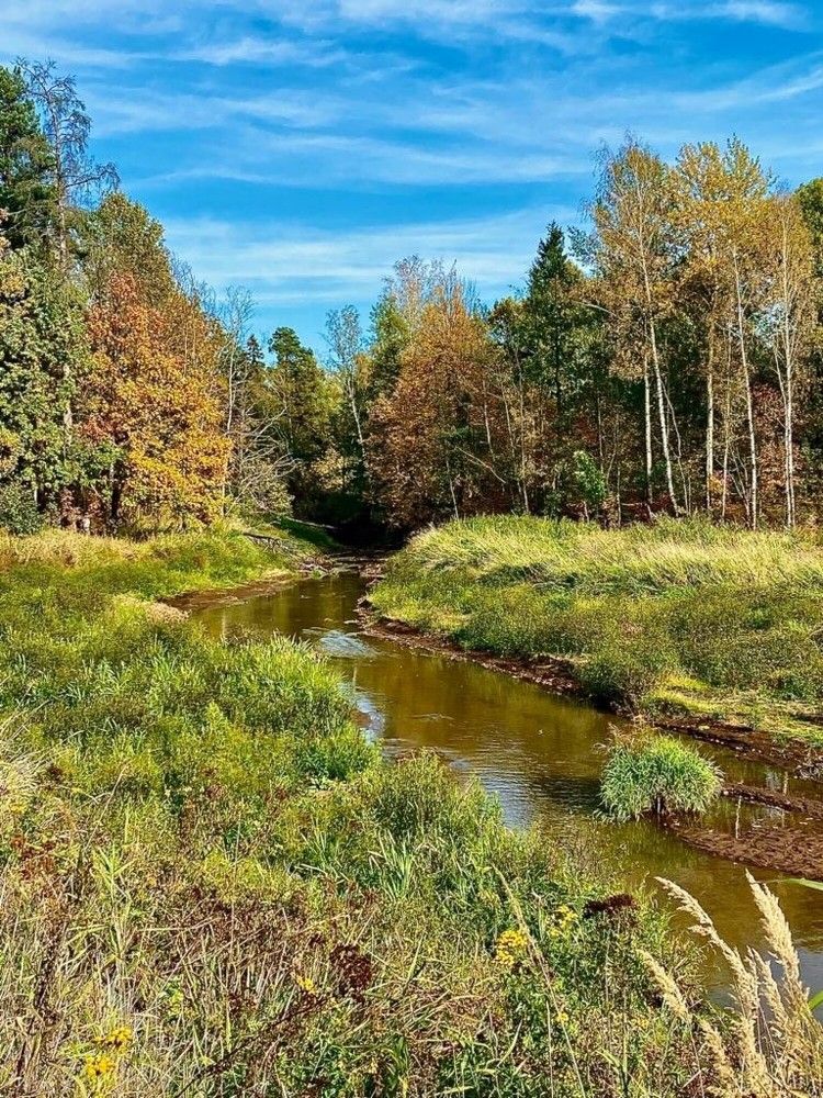 Фотография автора Илья