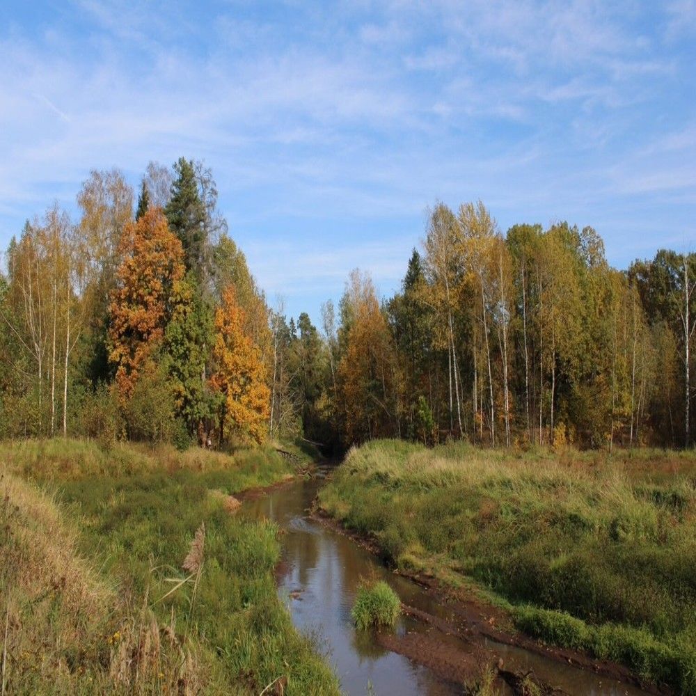 Фотография автора Илья