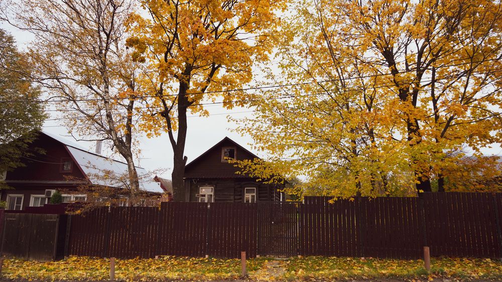Photograph by Симикова Светлана
