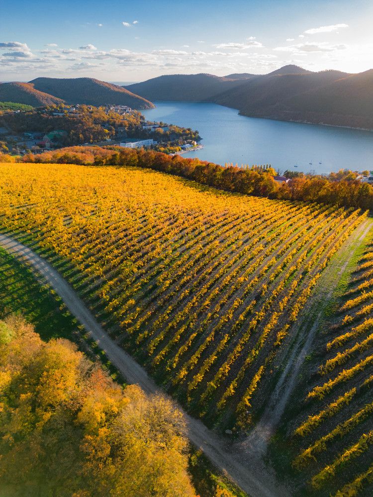 Photograph by Роман Кокорин