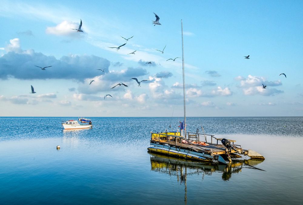 Photograph by Юлия Ковальчук