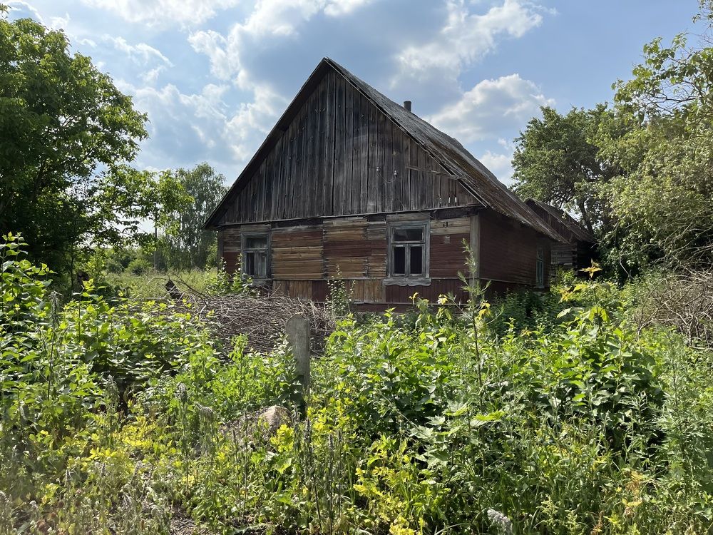 Photograph by Болдырева Ольга