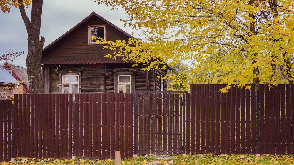 Photograph by Симикова Светлана