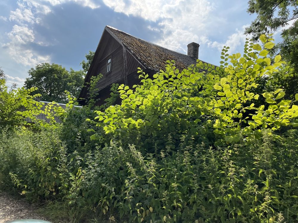 Photograph by Болдырева Ольга