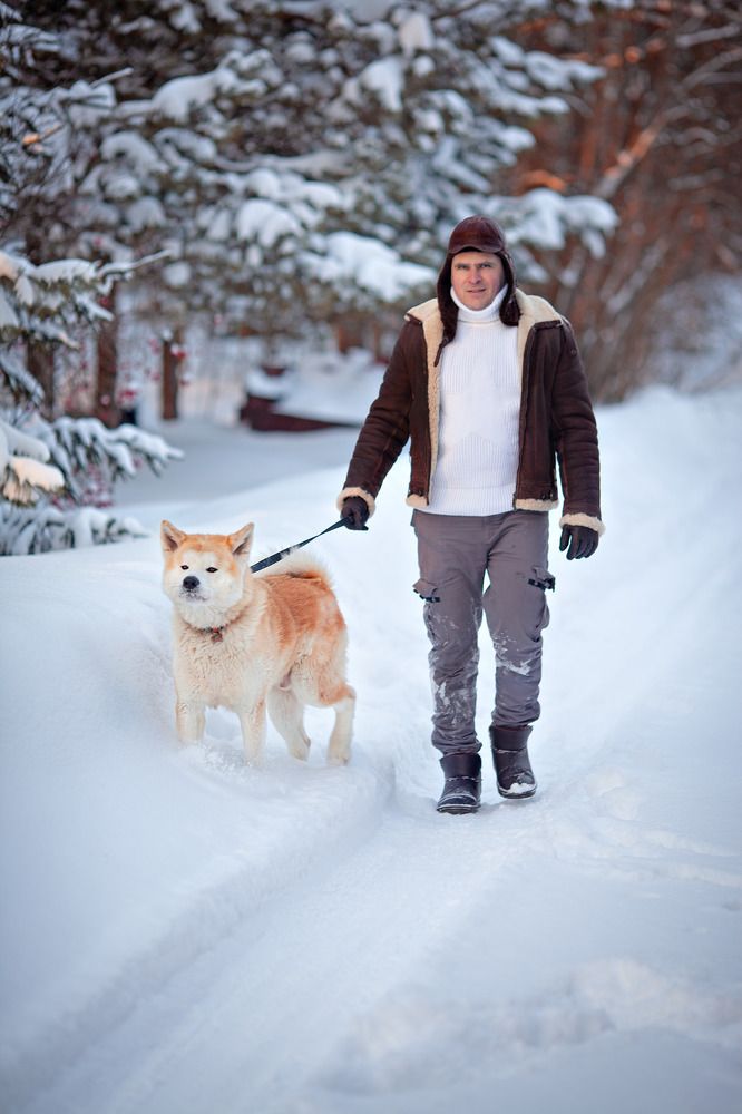 Photograph by Елена Серова