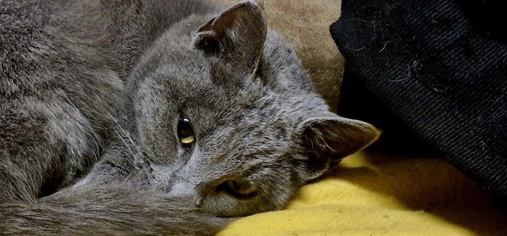 Photograph by Anastasia Tsatsou