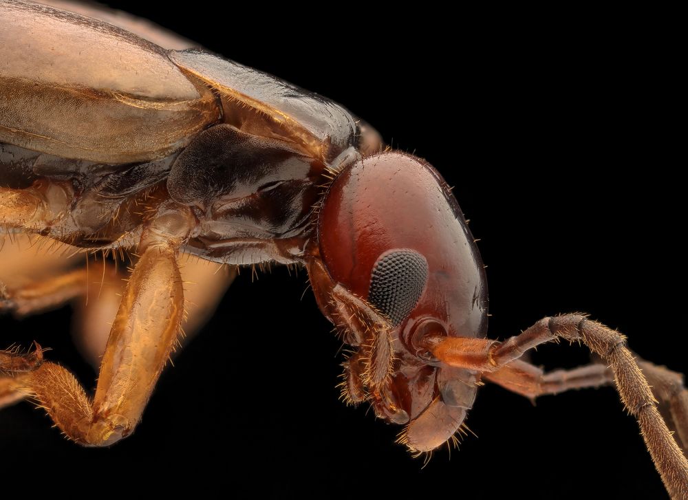 Photograph by Антон Сидоров