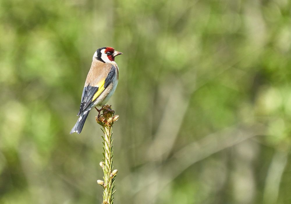 Photograph by Puum Mati