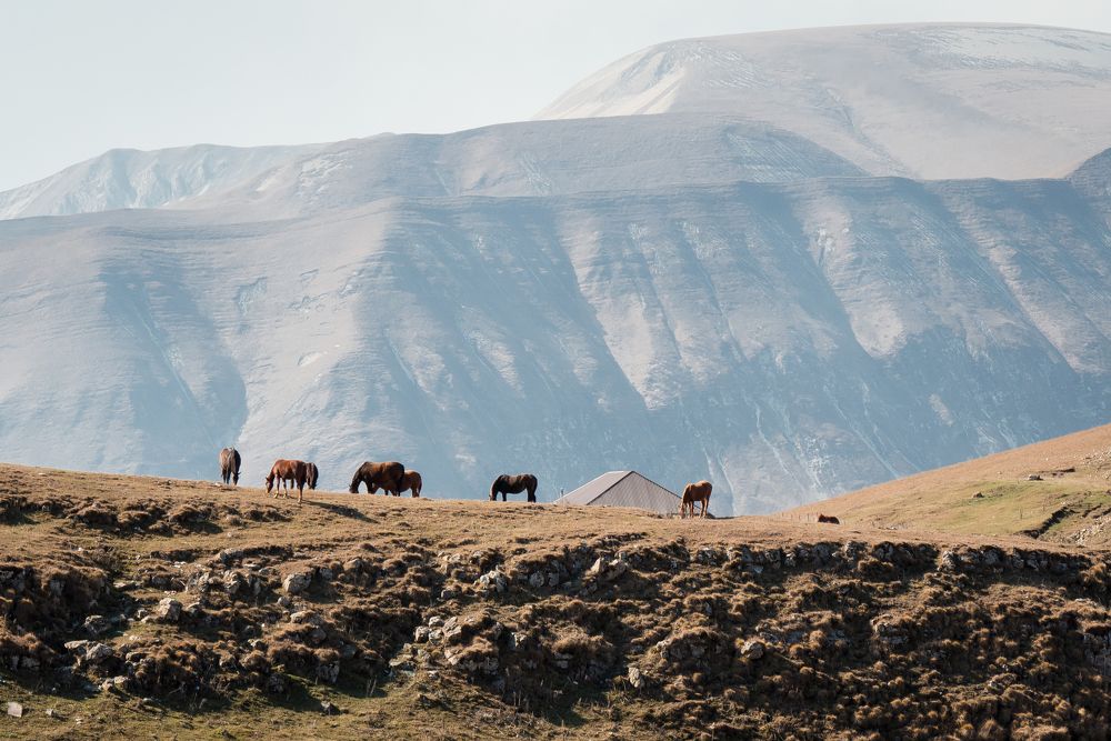 Photograph by Имран Жулягов