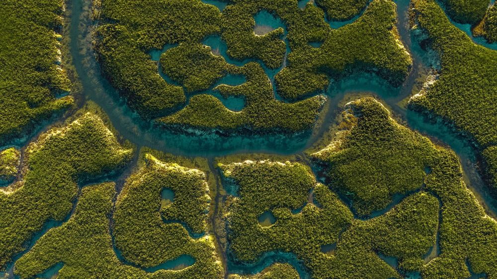 Photograph by Yantsen Alina