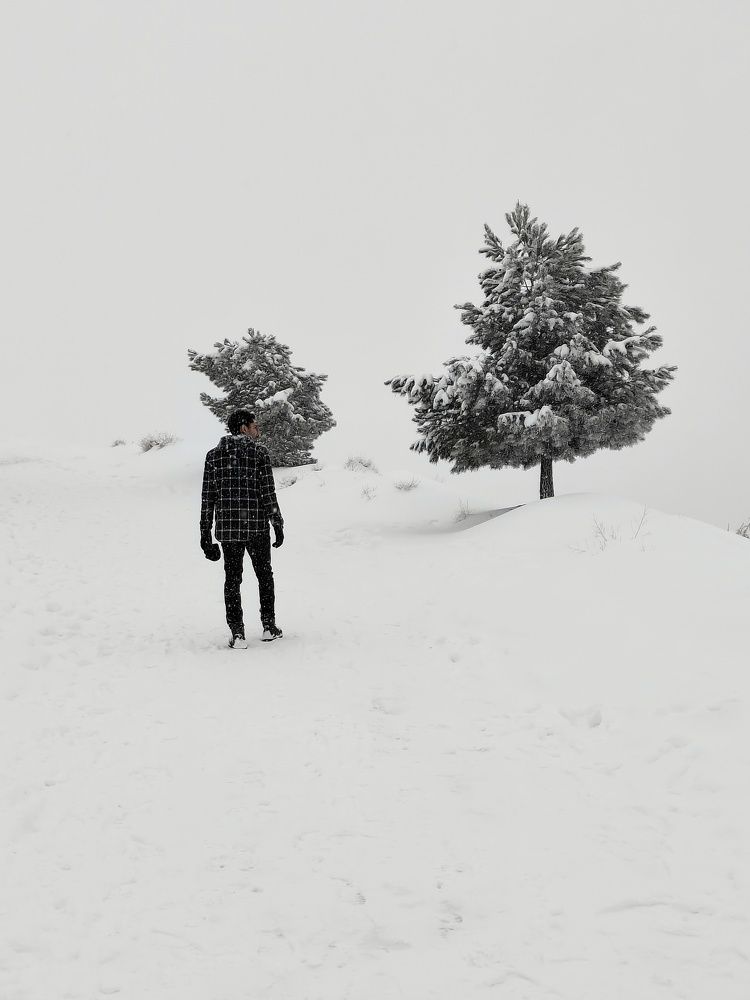 Photograph by Hessam Zaki