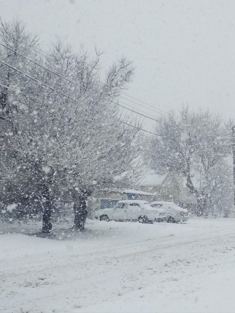 Photograph by Дарья Зотова