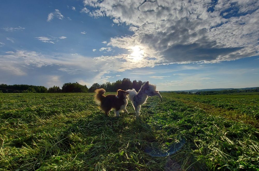 Photograph by Александра Васильева