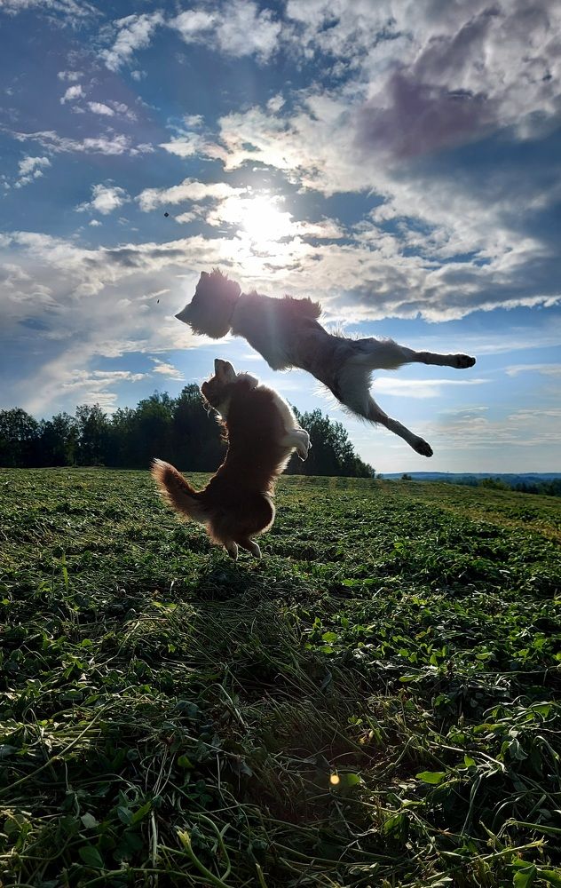 Photograph by Александра Васильева