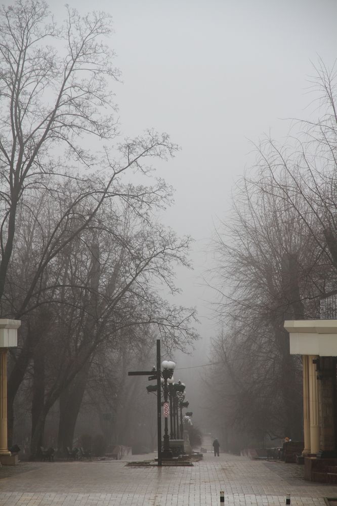 Photograph by Yuliya Durneva