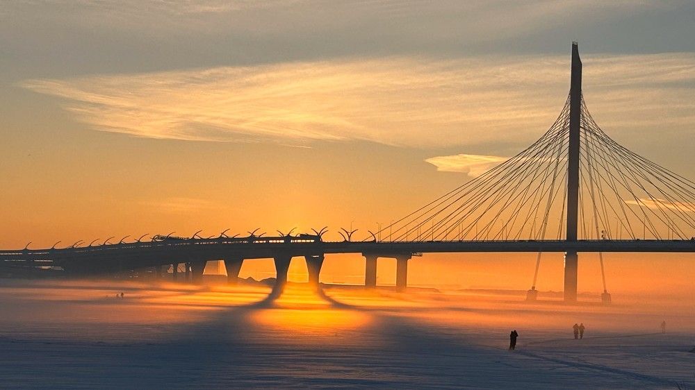 Photo #10291557