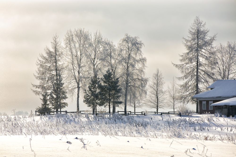 Февральская пастораль