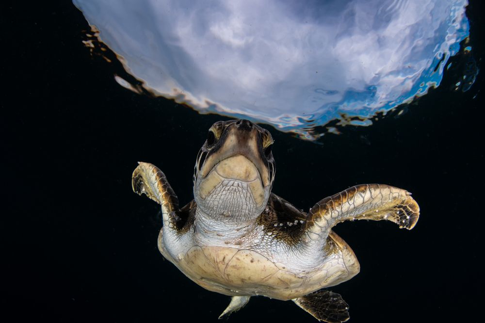 Photograph by Carlos Eduardo Barreto Pinheiro