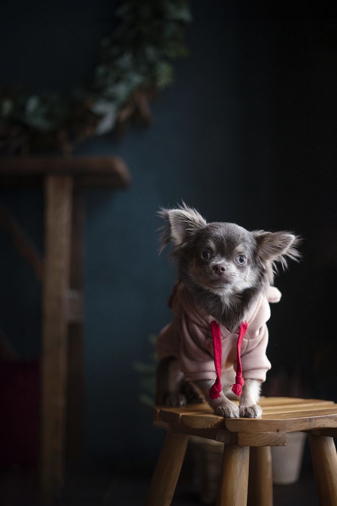 Photograph by Екатерина Васильева