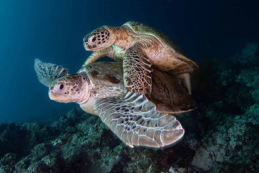 Photograph by Carlos Eduardo Barreto Pinheiro
