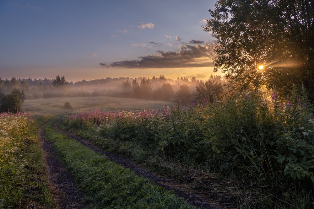 Photograph by Третьякова Анастасия