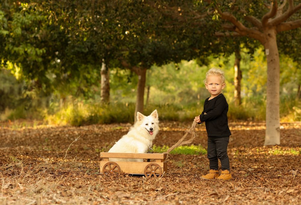 Photograph by שירה