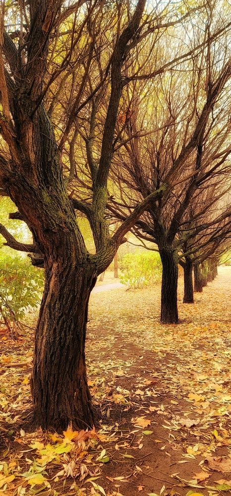 Photograph by Анна Вокуева