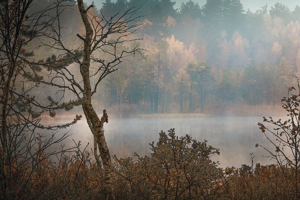 осенние Галкинские болота