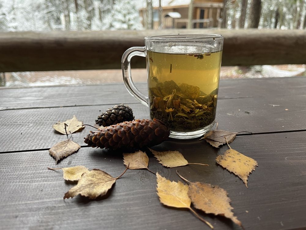 Photograph by Болдырева Ольга