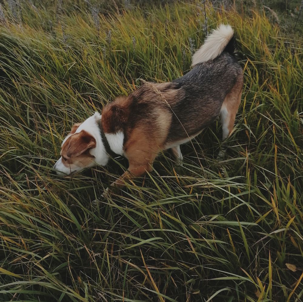 Photograph by Наталья Муравейко