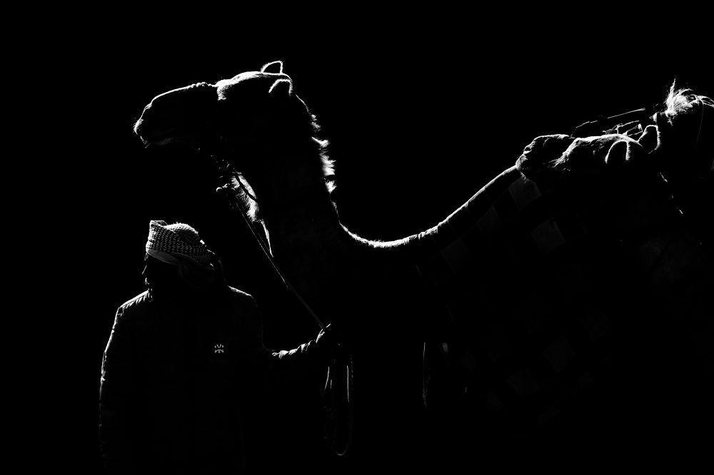 Photograph by Shyjith Onden Cheriyath