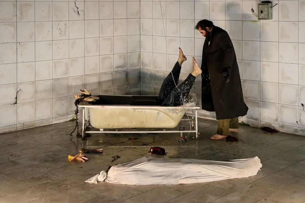 Фотография автора Seyede Elahe GHasemi